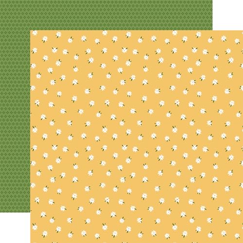 Oh Baby Gänseblümchen Oh Baby Gänseblümchen von Echo Park Paper