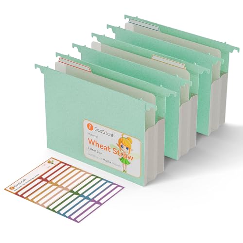 Hängemappe, extra Kapazität, 8 cm, verstärktes Weizenstroh, erweiterbare Hängemappe, Briefgröße, strapazierfähig für Aktenschränke, Akten-Organizer für Büro und Zuhause, Mintgrün, 3 Packungen Hängemappe, extra Kapazität, 8 cm, verstärktes Weizenstroh, erweiterbare Hängemappe, Briefgröße, strapazierfähig für Aktenschränke, Akten-Organizer für Büro und Zuhause, Mintgrün, 3 Packungen von EcoStash