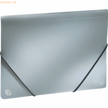 Ecobra Eckspannmappe A4 PP silver shadow von Ecobra