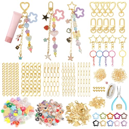 Ecoofor Schlüsselanhänger-Set, 354-teilig, Taschenanhänger-Set mit 136 Anhängern, 25 Verlängerungsketten, 20 Schlüsselanhänger-Clips, Perlenzubehör und Schmuckzange – DIY Handwerk und Ecoofor Schlüsselanhänger-Set, 354-teilig, Taschenanhänger-Set mit 136 Anhängern, 25 Verlängerungsketten, 20 Schlüsselanhänger-Clips, Perlenzubehör und Schmuckzange – DIY Handwerk und von Ecoofor