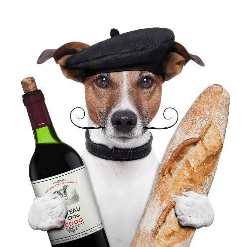 CHICO - DER FRANZOSE Lustige Einladungskarte zum Essen oder zur Weinverkostung; witziger Hund lädt ein zum Dinner mit Wein und Baguette von Edition Colibri