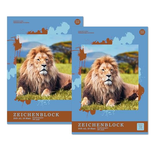 Edition Dürer Zeichenblock A3 18 Blatt 100 g/m², 4 Motive, 2 Stück, Malblock für Kinder und Erwachsene von Edition Dürer