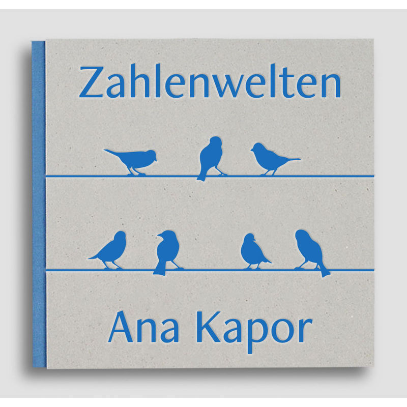 Zahlenwelten - Ana Kapor - Ana Kapor, Gebunden von Edition Nathalia Laue
