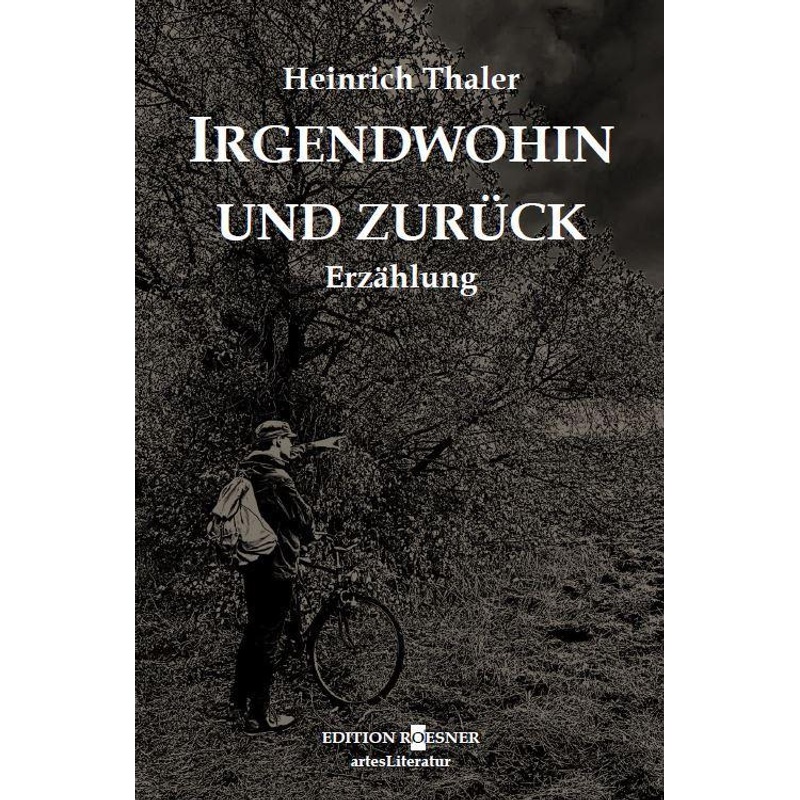 Irgendwohin Und Zurück - Heinrich Thaler, Gebunden von Edition Roesner