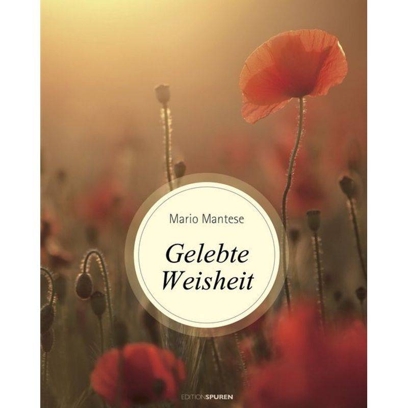 Gelebte Weisheit - Mario Mantese, Gebunden von Edition Spuren