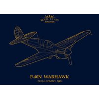 P-40N Warhawk - Royal Class - Dual Combo von Eduard