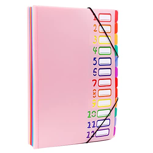 Edufun Fächermappe in Regenbogenfarben, 24 Fächer, robuster A4-Brief-Organizer, wasserfeste Kunststoff-Trennblätter, für Zuhause/Büro/Schule, Dokumentenhalter (Rosa) von Edufun