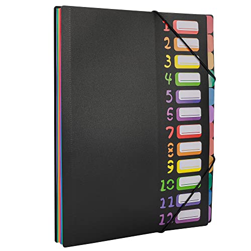 Edufun Fächermappe mit 24 Fächern, Aktenordner, Briefform, für 240 Blatt, Kunststoff-Regenbogen-Futter, farbige Aktenmappe für Zuhause, Büro, Schule (schwarz) von Edufun