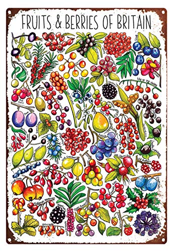 Metall-Blechschilder, Dekoration, Früchte und Beeren von Großbritannien, Herbst-Metallschild, Kinderzimmer-Druck, Wildtier-Illustrationsdruck, botanischer Druck, Metallschild, Gaming von Eeypy