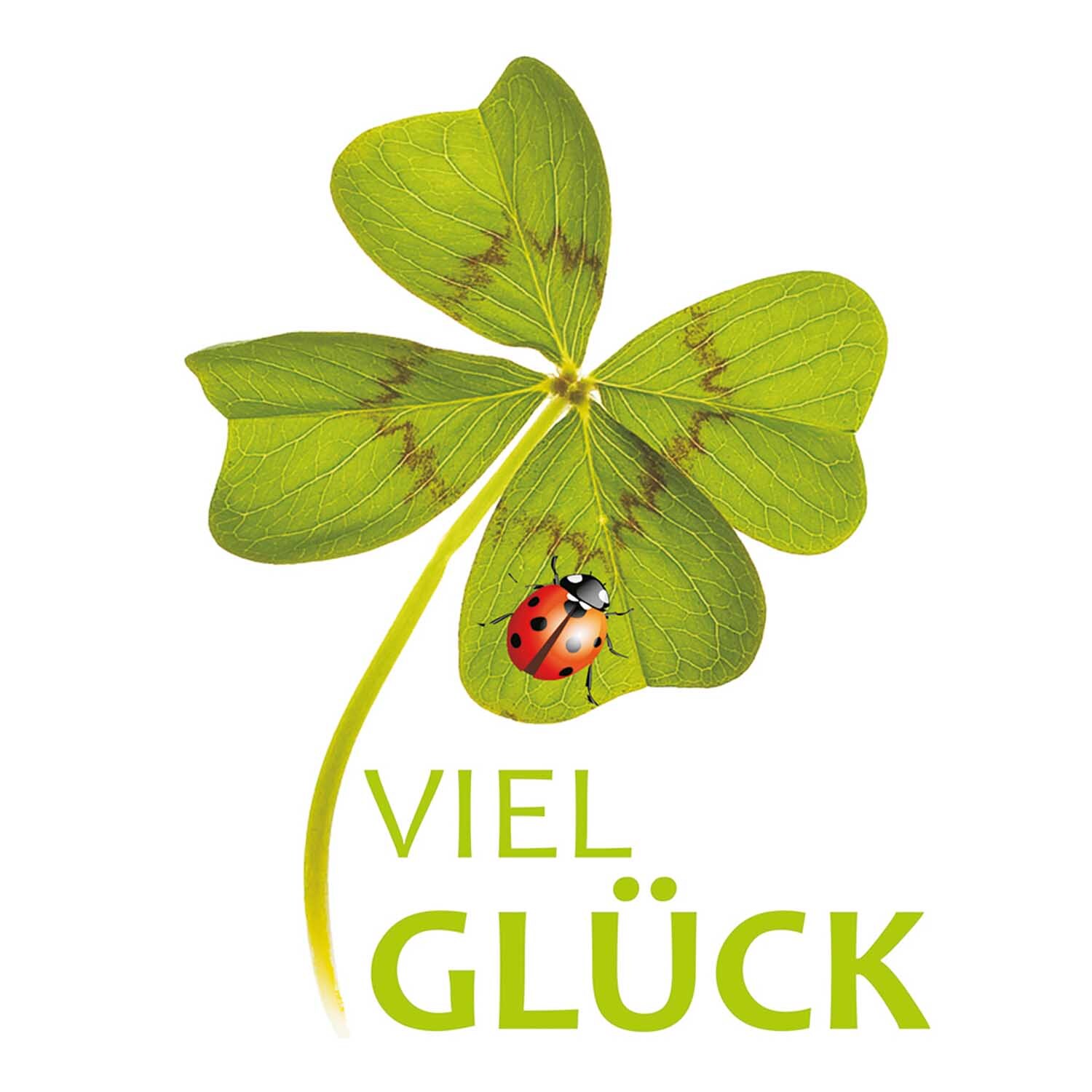 Wachsdekor Viel Glück mehrfarbig 70x55mm Wachsdekor Viel Glück mehrfarbig 70x55mm von Efco