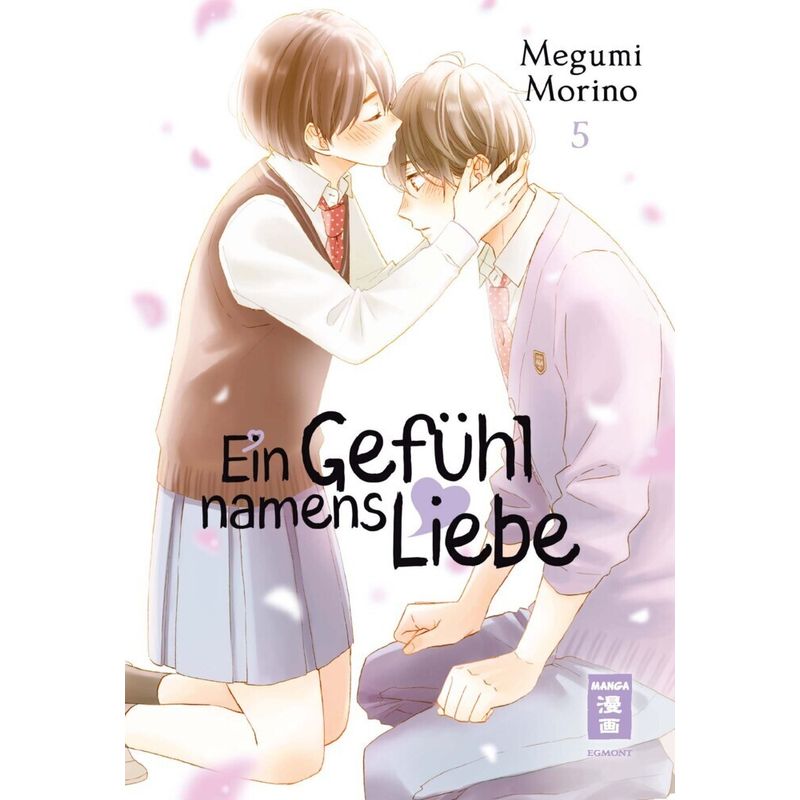 Ein Gefühl Namens Liebe Bd.5 - Megumi Morino, Kartoniert (TB) von Egmont Manga