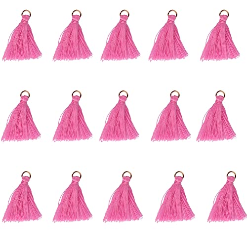 Egurs Mini Quasten Anhänger 100 Stück 30mm Bunt Quaste Troddel Klein Fransen Schlüsselanhänger Quaste für DIY Schmuck Ohrring Basteln Armbänder rosa von Egurs