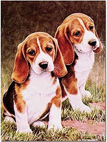 Eiialerm Erwachsene Stickerei Kreuzstich Beagles-Hund 11CT Vorgedruckte Leinwand Kreuzstich Set AnfäNger Stickbilder, für Wandkunst-Heimdekoration 40X50cm Eiialerm Erwachsene Stickerei Kreuzstich Beagles-Hund 11CT Vorgedruckte Leinwand Kreuzstich Set AnfäNger Stickbilder, für Wandkunst-Heimdekoration 40X50cm von Eiialerm