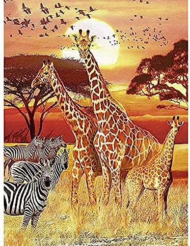 Eiialerm Erwachsene Stickerei Kreuzstich Giraffe Zebra Afrika 11CT Vorgedruckte Leinwand Kreuzstich Set AnfäNger Stickbilder, für Wandkunst-Heimdekoration 40X50cm von Eiialerm