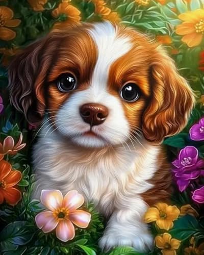 Eiialerm Erwachsene Stickerei Kreuzstich Katze mit Blumen 11CT Vorgedruckte Leinwand Kreuzstich Set AnfäNger Stickbilder, für Wandkunst-Heimdekoration 40X50 cm Eiialerm Erwachsene Stickerei Kreuzstich Katze mit Blumen 11CT Vorgedruckte Leinwand Kreuzstich Set AnfäNger Stickbilder, für Wandkunst-Heimdekoration 40X50 cm von Eiialerm