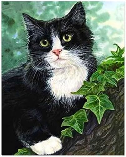 Eiialerm Erwachsene Stickerei Kreuzstich Schwarz-weißes Katzentier 11CT Vorgedruckte Leinwand Kreuzstich Set AnfäNger Stickbilder, für Wandkunst-Heimdekoration 40X50cm von Eiialerm
