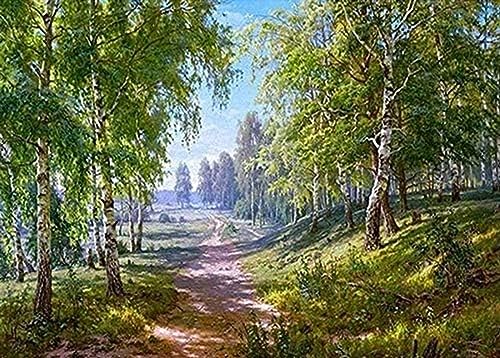 Eiialerm Erwachsene Stickerei Kreuzstich Waldlandschaft 11CT Vorgedruckte Leinwand Kreuzstich Set AnfäNger Stickbilder, für Wandkunst-Heimdekoration 40X50cm Eiialerm Erwachsene Stickerei Kreuzstich Waldlandschaft 11CT Vorgedruckte Leinwand Kreuzstich Set AnfäNger Stickbilder, für Wandkunst-Heimdekoration 40X50cm von Eiialerm
