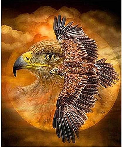 Eiialerm Erwachsene Stickerei Kreuzstich fliegender Adler 11CT Vorgedruckte Leinwand Kreuzstich Set AnfäNger Stickbilder, für Wandkunst-Heimdekoration 40X50cm von Eiialerm