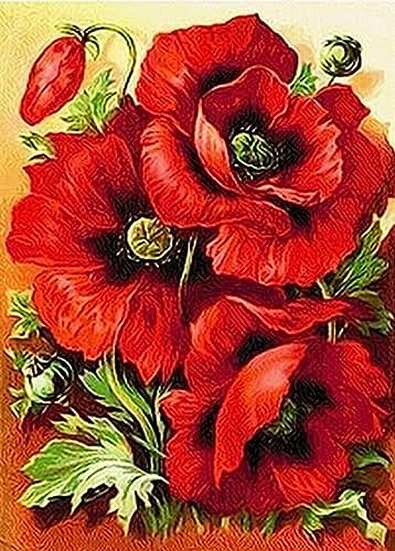 Eiialerm Erwachsene Stickerei Kreuzstich rote Mohnblume 11CT Vorgedruckte Leinwand Kreuzstich Set AnfäNger Stickbilder, für Wandkunst-Heimdekoration 40X50cm von Eiialerm
