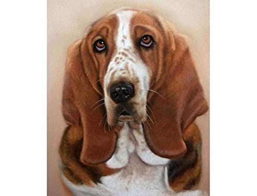 Eiialerm Kreuzstich Stickpackungen Basset Hound-Hundetier DIY Vorgedruckt Kreuzstich Stickbilder 11CT Sticken Set für Erwachsene Anfänger Home Decor 40x50cm von Eiialerm