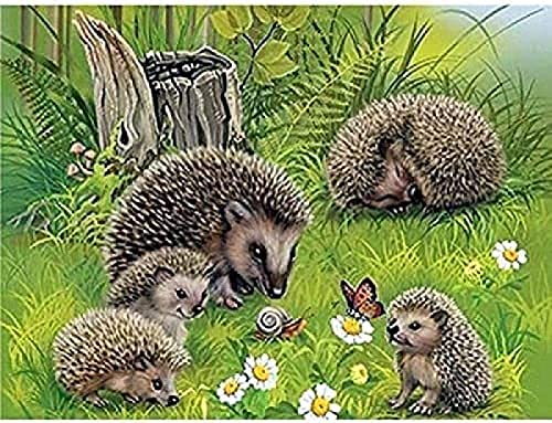 Eiialerm Kreuzstich Stickpackungen Igel DIY Vorgedruckt Kreuzstich Stickbilder 11CT Sticken Set für Erwachsene Anfänger Home Decor 40x50cm Eiialerm Kreuzstich Stickpackungen Igel DIY Vorgedruckt Kreuzstich Stickbilder 11CT Sticken Set für Erwachsene Anfänger Home Decor 40x50cm von Eiialerm