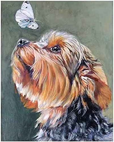 Eiialerm Kreuzstich Stickpackungen Schmetterlings-Yorkshire-Terrier DIY Vorgedruckt Kreuzstich Stickbilder 11CT Sticken Set für Erwachsene Anfänger Home Decor 40x50cm von Eiialerm