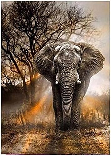 Eiialerm Kreuzstich Stickpackungen Tier afrikanischer Elefant DIY Vorgedruckt Kreuzstich Stickbilder 11CT Sticken Set für Erwachsene Anfänger Home Decor 40x50cm von Eiialerm