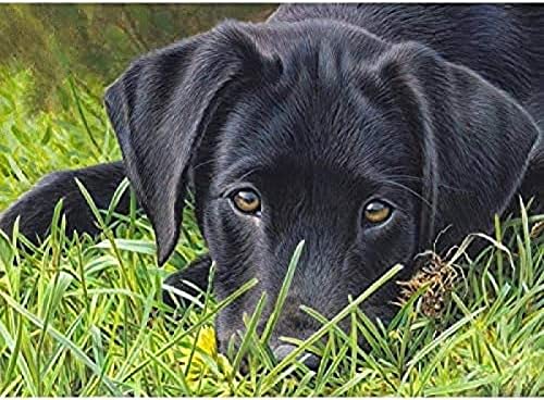 Eiialerm Kreuzstich Stickpackungen schwarzer Labrador DIY Vorgedruckt Kreuzstich Stickbilder 11CT Sticken Set für Erwachsene Anfänger Home Decor 40x50cm von Eiialerm