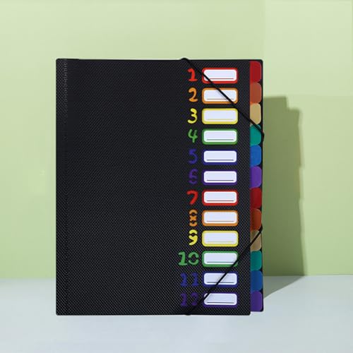 Fächermappe A4, Dokumentenmappe A4, Tragbar Fächermappe mit 12 Fächern, Mappen Ordnersystem PP Kunststoff Ordnungsmappe Pultordner für Schule Bürobedarf Klasse Sortier-/ Sammelmappe (schwarz-NEU) von Einaus