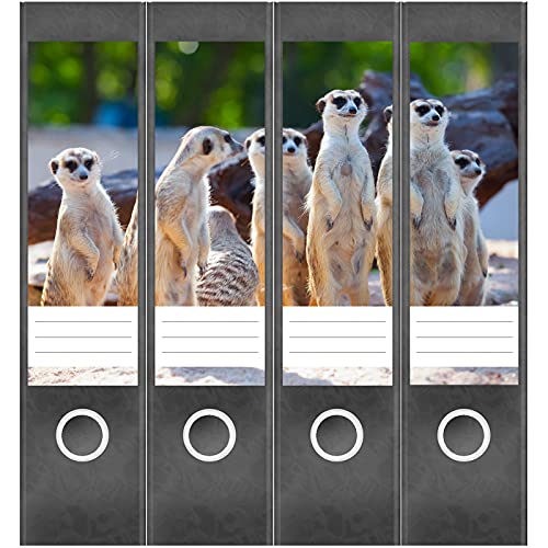 Etiketten für Ordner | Erdmännchen | 4 breite Aufkleber für Ordnerrücken | Selbstklebende Design Ordneretiketten Rückenschilder Etiketten für Ordner | Erdmännchen | 4 breite Aufkleber für Ordnerrücken | Selbstklebende Design Ordneretiketten Rückenschilder von Einladungskarten Manufaktur Hamburg