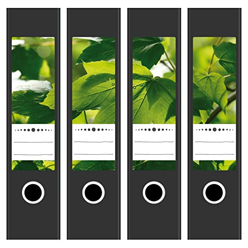 Ordneretiketten | 4 Aufkleber für breite Akten-Ordner | Grüne Blätter | selbstklebende Design Akten-Etiketten | Deko Sticker für Rückenschilder Ordnerrücken | zum Beschreiben Ordneretiketten | 4 Aufkleber für breite Akten-Ordner | Grüne Blätter | selbstklebende Design Akten-Etiketten | Deko Sticker für Rückenschilder Ordnerrücken | zum Beschreiben von Einladungskarten Manufaktur Hamburg