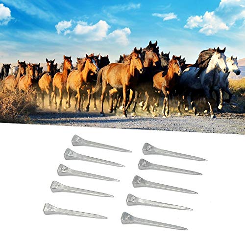 Ejoyous 250pcs E4 Hufeisennägel Hufeisenschuhnägel Equine Nägel mit Kohlenstoffstahl für Reitsportarten mit Sicherer Fixierung Easy Installation Ejoyous 250pcs E4 Hufeisennägel Hufeisenschuhnägel Equine Nägel mit Kohlenstoffstahl für Reitsportarten mit Sicherer Fixierung Easy Installation von Ejoyous