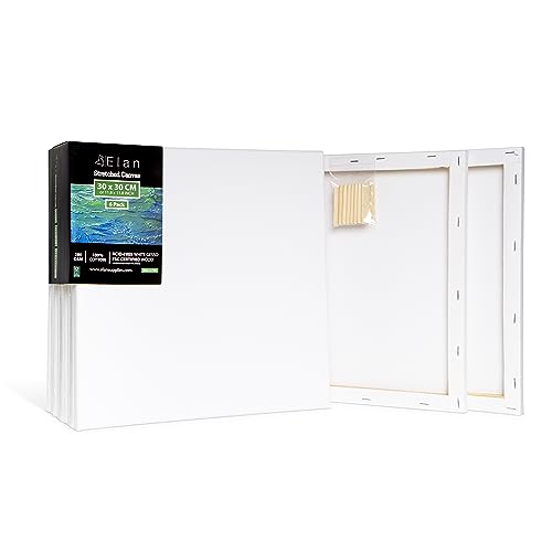 Elan Keilrahmen Leinwand 30x30 6er Set, 100% Baumwolle Leinwand zum Bemalen Klein, Leinwand Quadratisch 30x30, Leinwände für Acrylfarben, Keilrahmen Klein 30x30, Keilrahmen Set, Leinwand Acryl Elan Keilrahmen Leinwand 30x30 6er Set, 100% Baumwolle Leinwand zum Bemalen Klein, Leinwand Quadratisch 30x30, Leinwände für Acrylfarben, Keilrahmen Klein 30x30, Keilrahmen Set, Leinwand Acryl von Elan