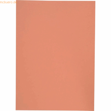 100 x Elba Aktendeckel Karton orange 100 x Elba Aktendeckel Karton orange von Elba