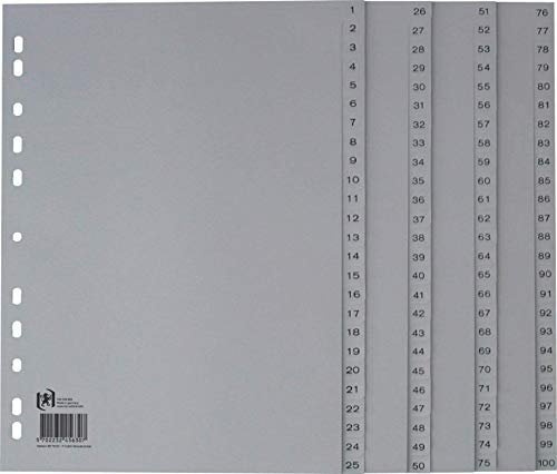 Oxford 100204663 Kunststoff-Register 5er Pack 1-100 100-teilig A4 grau ohne Deckblatt Ringbuch Ordner Plastikregister, Ring-Mappe von Oxford