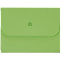 25 ELCO Sammelmappen Ordo forte 0,3 cm grün 25 ELCO Sammelmappen Ordo forte 0,3 cm grün von Elco