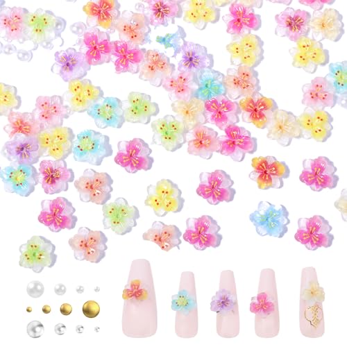 100 Stück 3D-Nagelblumen, eisdurchscheinende Blume Nagel Charms, Acrylblumen für Nägel, flache Rückseite, bunte Diamanten, Schmuck, Blumendekoration für Frauen, Nageldesigns, DIY-Zubehör 100 Stück 3D-Nagelblumen, eisdurchscheinende Blume Nagel Charms, Acrylblumen für Nägel, flache Rückseite, bunte Diamanten, Schmuck, Blumendekoration für Frauen, Nageldesigns, DIY-Zubehör von Eldraqth