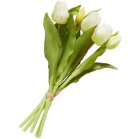 Tulpen Bund mit 3 Blüten und 2 Knospen - Creme von DPI