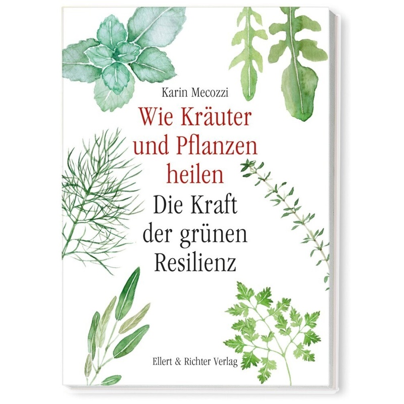 Wie Kräuter Und Pflanzen Heilen - Karin Mecozzi, Gebunden von Ellert & Richter