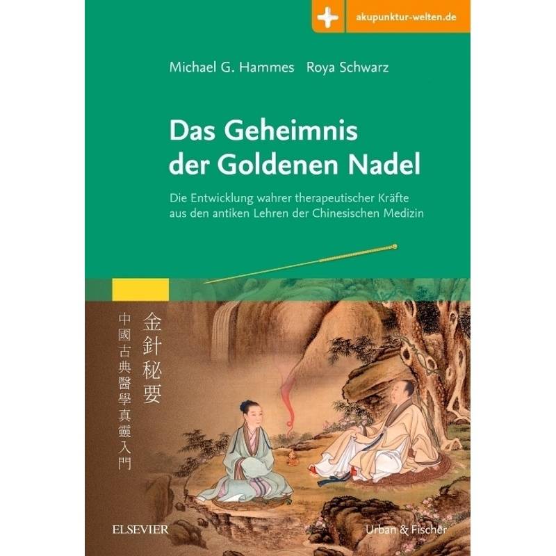 Das Geheimnis Der Goldenen Nadel - Michael Hammes, Roya Schwarz, Gebunden von Elsevier, München