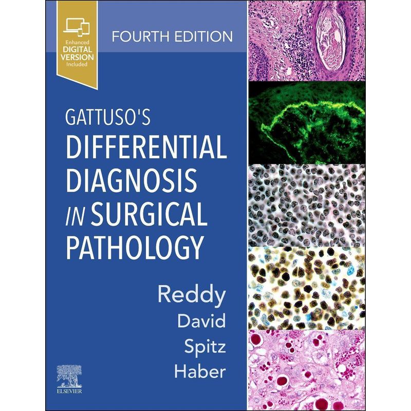 Gattuso's Differential Diagnosis In Surgical Pathology - Vijaya B. Reddy, Odile David, Daniel J. Spitz, Meryl H. Haber, Gebunden von ELSEVIER LTD