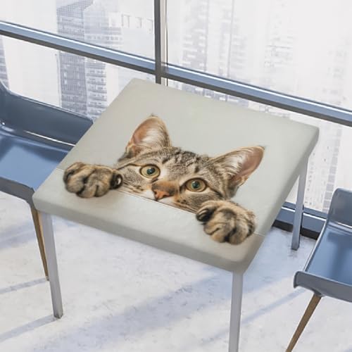 Entemne Quadratische Tischdecke mit elastischem Rand, niedliche Katze, Tier-Tischdecken, 117 x 117 cm, wasserdicht, passend für drinnen und draußen, Party, Terrassendekoration von Entemne
