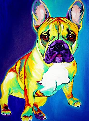 Eodyyw Diy Diamant Gemälde Kits Für Erwachsene_Tier Der Französischen Bulldogge_5D Diamond Painting_Erwachsene Und Kinder Diamant Painting Bilder_40X50Cm_Rahmenlos Eodyyw Diy Diamant Gemälde Kits Für Erwachsene_Tier Der Französischen Bulldogge_5D Diamond Painting_Erwachsene Und Kinder Diamant Painting Bilder_40X50Cm_Rahmenlos von Eodyyw