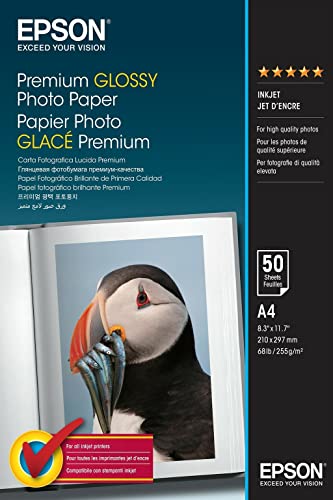 Epson C13S041624 - Premium Glossy Photo Paper - Premium Glossy Photo Paper - A4-50 Blätter von Epson