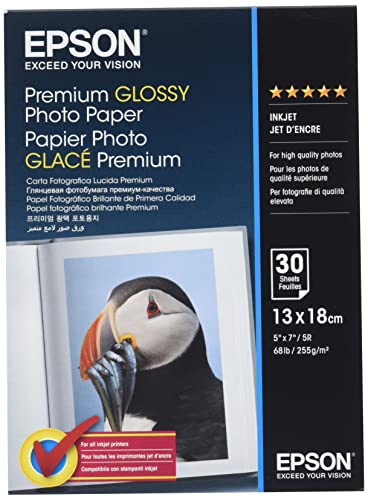 Epson Premium glossy photo paper inkjet 255g/m2 130x180mm 30 Blatt Pack von Epson
