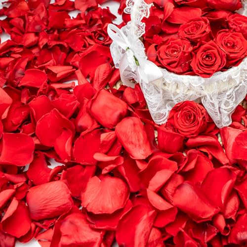 Eslibin 340 Stück echte rote Rosenblätter, 90 ml, getrocknete Blumen-Konfetti-Blütenblätter für Hochzeit, Blumenmädchen zum Werfen auf Hochzeitsfeier, romantische Nacht, Brautparty Eslibin 340 Stück echte rote Rosenblätter, 90 ml, getrocknete Blumen-Konfetti-Blütenblätter für Hochzeit, Blumenmädchen zum Werfen auf Hochzeitsfeier, romantische Nacht, Brautparty von Eslibin
