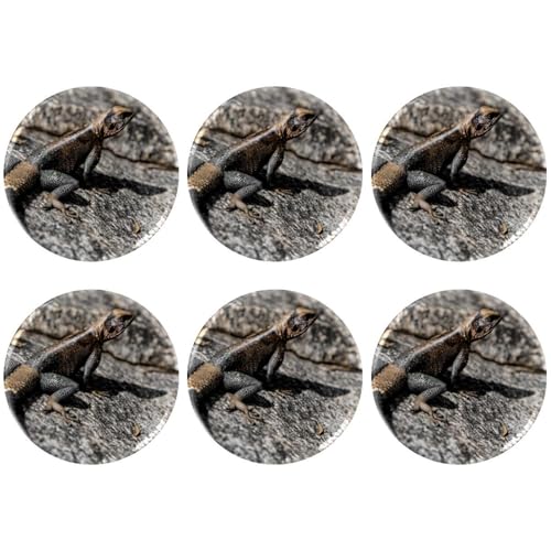 Eslifey 6 Stück 5,6 cm Knopfabzeichen mit Anstecknadel, Eidechse, runde Bastelknöpfe für Bastelbedarf, DIY-Abzeichen, Anstecknadeln, Schulprojekte von Eslifey