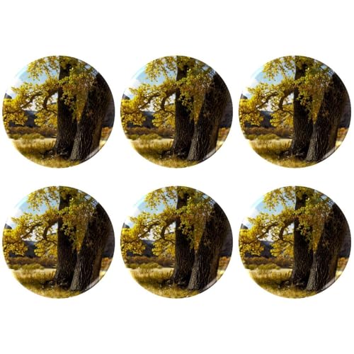 Eslifey 6 Stück 5,6 cm große Knöpfe mit Anstecknadel, Herbstgrasstamm, Baum, runde Bastelknöpfe für Bastelbedarf, DIY-Abzeichen, Anstecknadeln, Schulprojekte von Eslifey