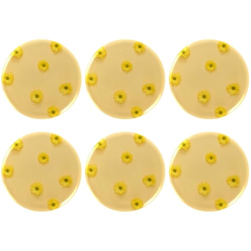 Eslifey 6 Stück 5,6 cm große Knopfabzeichen mit Anstecknadel, Gänseblümchen-gelb, runde Bastelknöpfe für Bastelbedarf, DIY-Abzeichen, Anstecknadeln, Schulprojekte von Eslifey