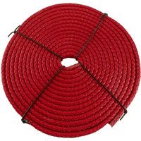 esnado Oval geflochtene Lederschnur Rot – 10 mm x 6 mm esnado Oval geflochtene Lederschnur Rot – 10 mm x 6 mm von Esnado